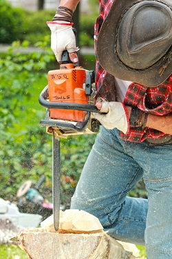 Image for Tree Service Riverside with ID of: 1431072