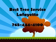 Image for Best Tree Service Lafayette with ID of: 1434652