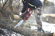 Image for Best Tree Service Lafayette with ID of: 1434657