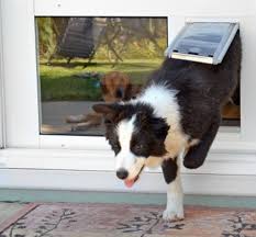 Image for Pet door installation with ID of: 1436281