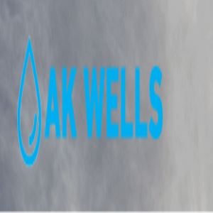 Image for AK Well Services Limited with ID of: 1438364