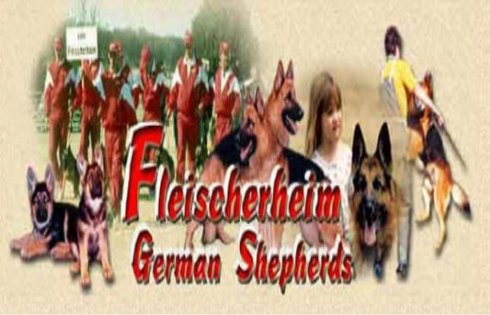 Image for Fleischerheim German Shepherd with ID of: 1438406