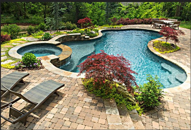Image for All Miami Pool Services with ID of: 1438455