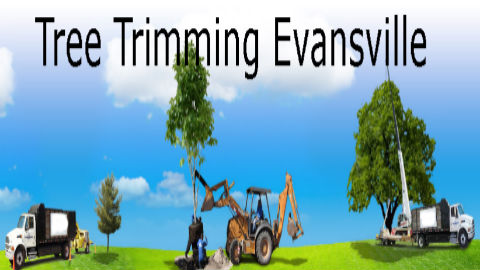 Image for Tree Trimming Evansville with ID of: 1438844