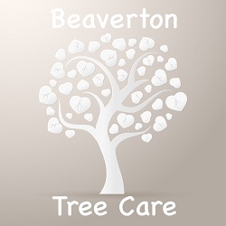 Image for Beaverton Tree Care with ID of: 1439240