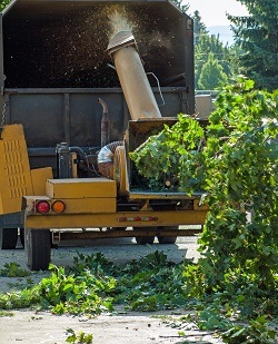 Image for Beaverton Tree Care with ID of: 1439242