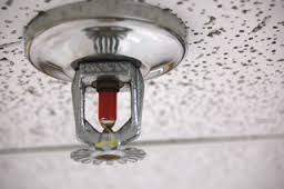 Image for Global Fire Sprinkler System Market 2016 Forecast, Investment Trends, Growth, Demand to 2021 with ID of: 1439379