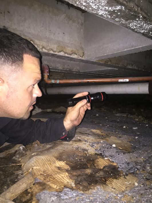 Image for Reynolds Pest Management, Inc with ID of: 1439793