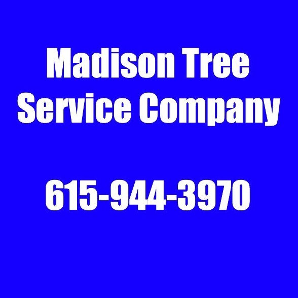 Image for Madison Tree Service Company with ID of: 1441044