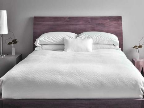 Image for Bed Bug Lawyers with ID of: 1441449