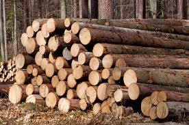 Image for Northern Virginia Firewood Delivery with ID of: 1441498