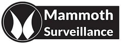 Image for Mammoth Surveillance Camera Systems with ID of: 1441599