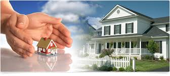 Image for New Viva Home Inc with ID of: 1442760