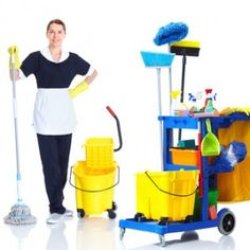 Image for Crest Janitorial with ID of: 1443033