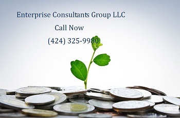 Image for Enterprise Consultants Group LLC with ID of: 1443682