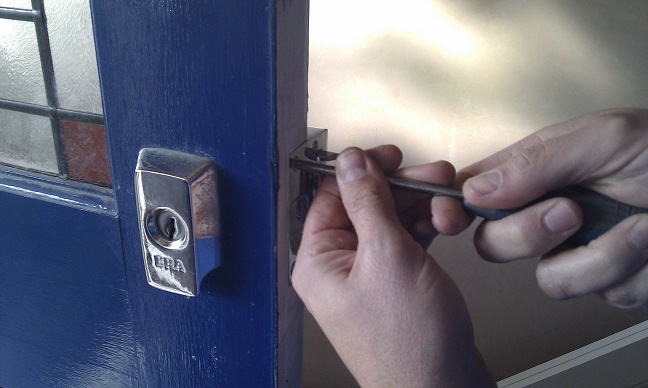 Image for Tree Frog Locksmith with ID of: 1444384