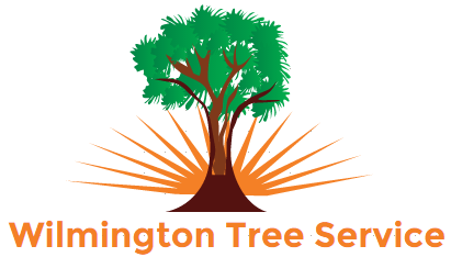 Image for Wilmington Tree Service with ID of: 1446848