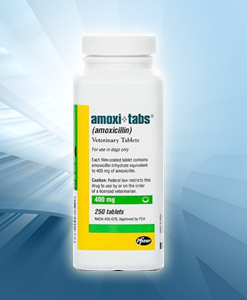 Image for Our Pets Pharmacy with ID of: 1448982