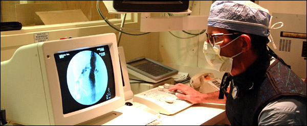 Image for Vascular & Interventional Radiology with ID of: 1449645