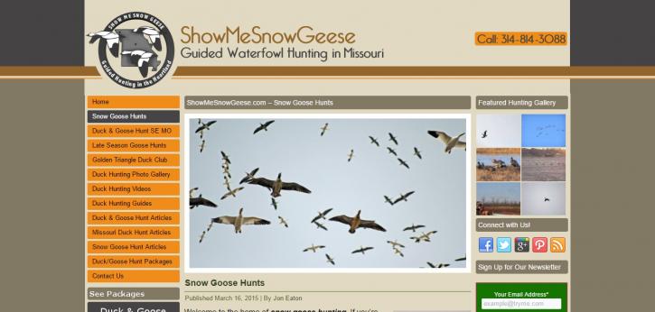 Image for showme snow geese with ID of: 1451785