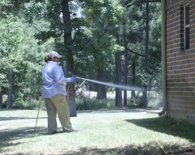Image for SEW Pest Control with ID of: 1453122