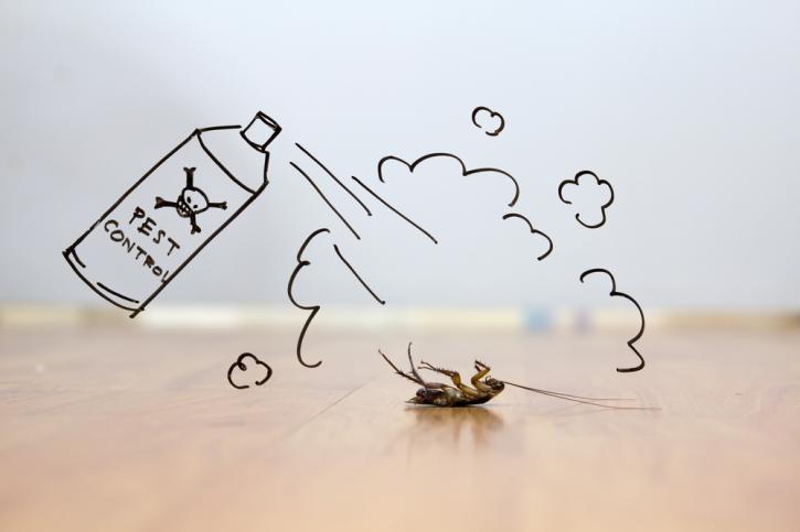 Image for SEW Pest Control with ID of: 1453123