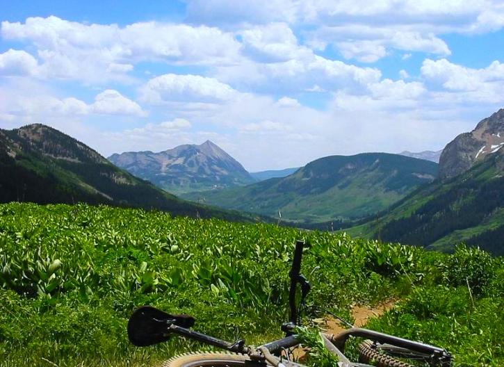 Image for Board acquires water to keep Crested Butte streams flowing with ID of: 145390