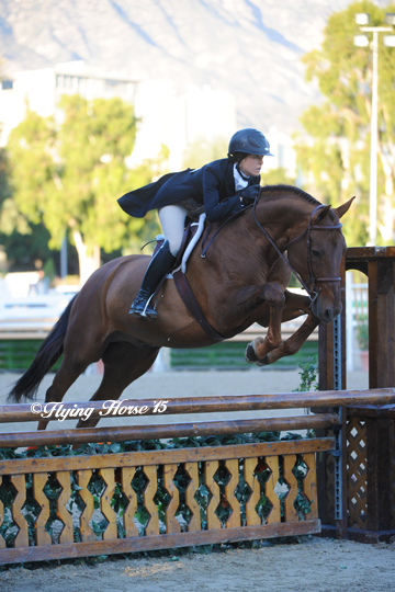 Image for Private Horseback Riding Lessons and Training with ID of: 1455155