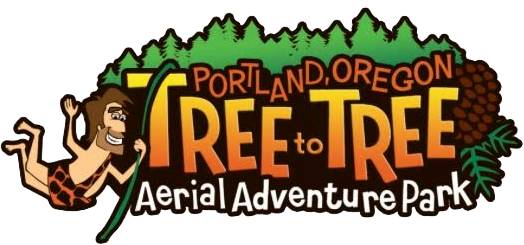 Image for Tree to Tree Adventure Park with ID of: 1457130