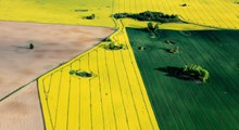 Image for Global Precision Farming Software & Services Market 2016 Product types, sales, Revenue, Price,Share and Growth 2021 with ID of: 1457637