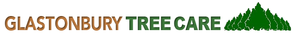 Image for Glastonbury Tree Care with ID of: 1457818
