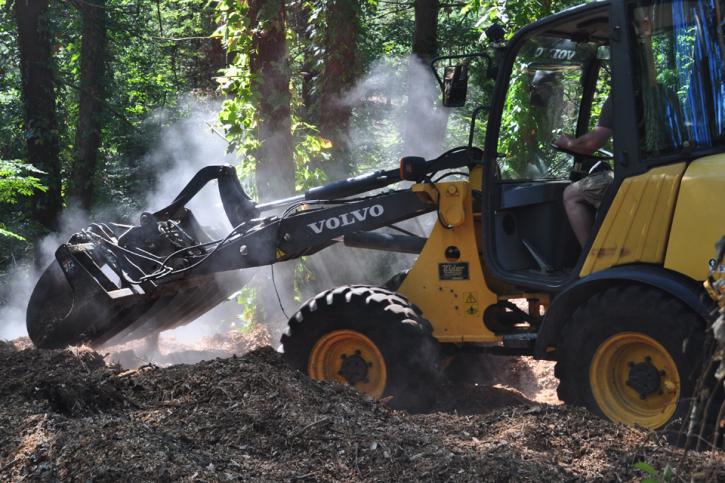 Image for Glastonbury Tree Care with ID of: 1457822