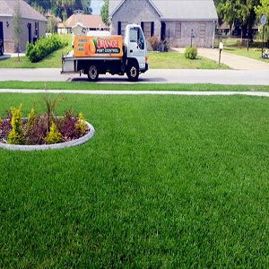 Image for Orange Pest Control with ID of: 1461256