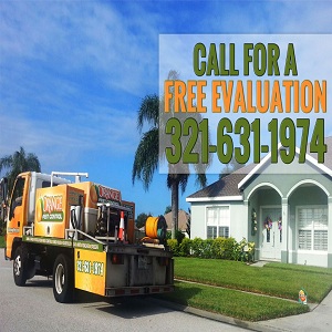 Image for Orange Pest Control with ID of: 1461260