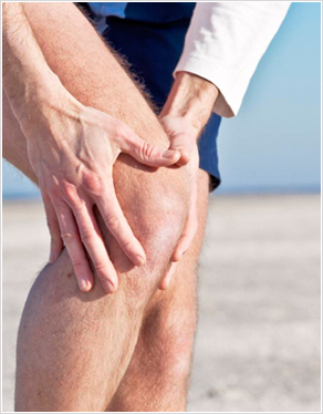 Image for Bucks County Orthopedic Specialists with ID of: 1462017