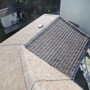 Image for Prime Roofing Services with ID of: 1462362