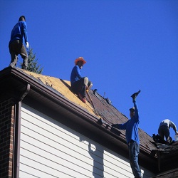 Image for Professional Roofing Experts with ID of: 1462594