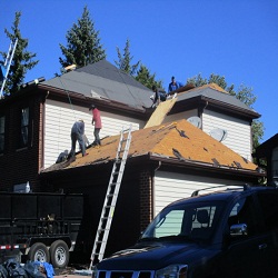 Image for Professional Roofing Experts with ID of: 1462628