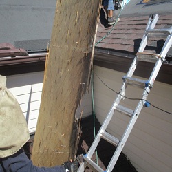 Image for Professional Roofing Experts with ID of: 1462779