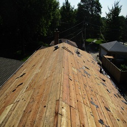 Image for Exterior Roofing Professionals with ID of: 1462910