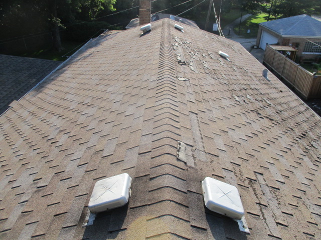 Image for Professional Roofing Experts with ID of: 1462959