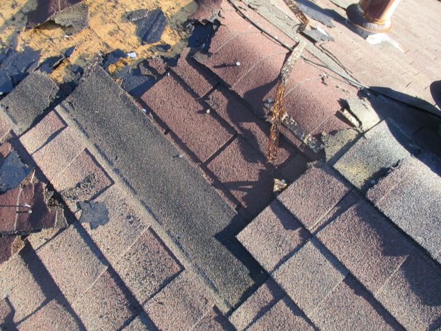 Image for Professional Roofing Experts with ID of: 1463150