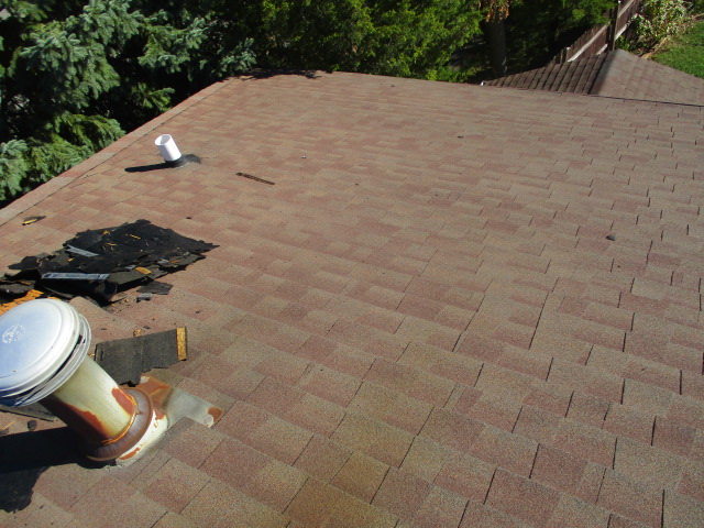 Image for Professional Roofing Experts with ID of: 1463161