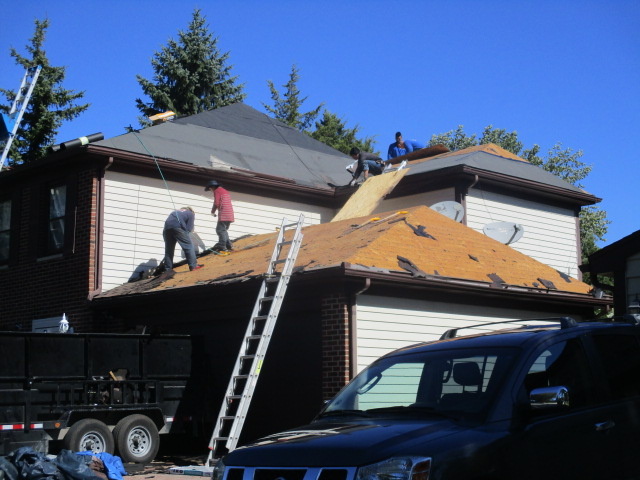 Image for Professional Roofing Experts with ID of: 1463174