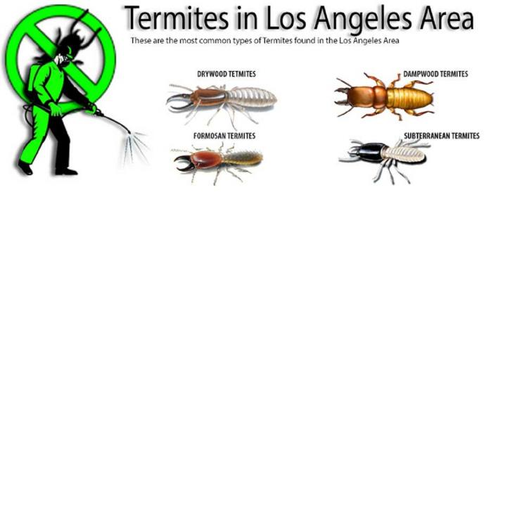 Image for Termite Droppings with ID of: 1464679