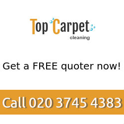 Image for Top Carpet Cleaning with ID of: 1465669
