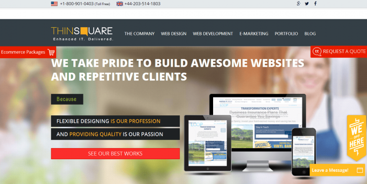 Image for Thinsquare LLC - Website Designing and Development with ID of: 1467105