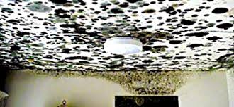 Image for Black mold with ID of: 1468076