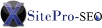 Image for XSitePro SEO with ID of: 1468787