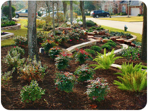Image for Envy Exteriors with ID of: 1469265